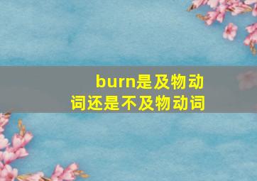 burn是及物动词还是不及物动词