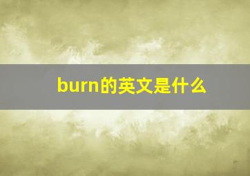 burn的英文是什么