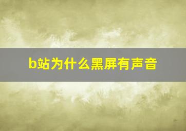 b站为什么黑屏有声音