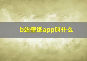 b站壁纸app叫什么