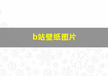 b站壁纸图片