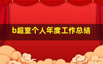 b超室个人年度工作总结