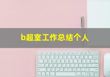 b超室工作总结个人