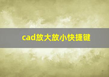 cad放大放小快捷键