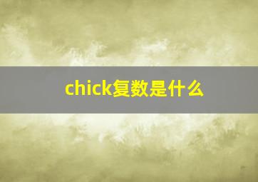 chick复数是什么