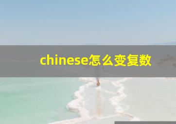 chinese怎么变复数