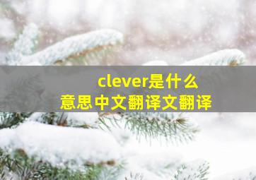 clever是什么意思中文翻译文翻译