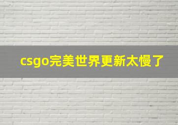 csgo完美世界更新太慢了