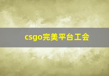 csgo完美平台工会