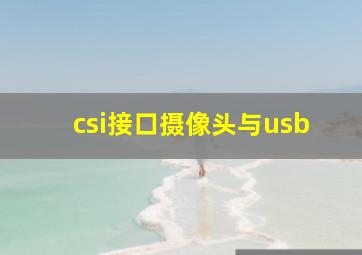 csi接口摄像头与usb