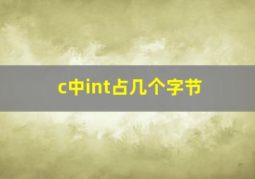 c中int占几个字节