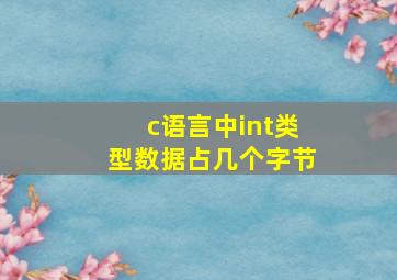 c语言中int类型数据占几个字节