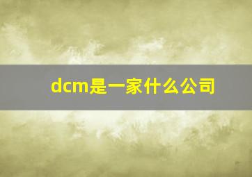 dcm是一家什么公司