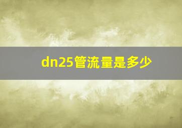 dn25管流量是多少