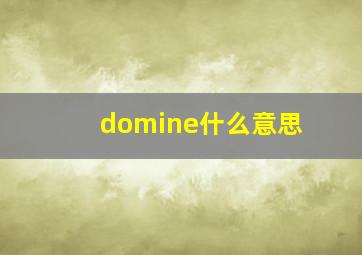 domine什么意思