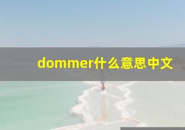 dommer什么意思中文