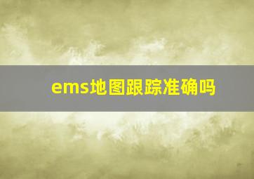 ems地图跟踪准确吗