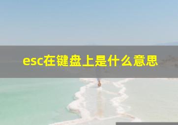 esc在键盘上是什么意思