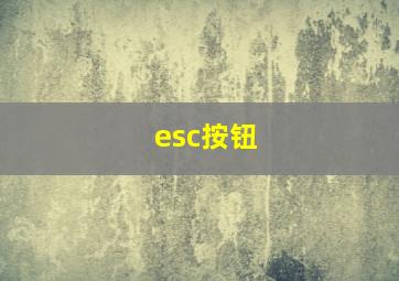 esc按钮