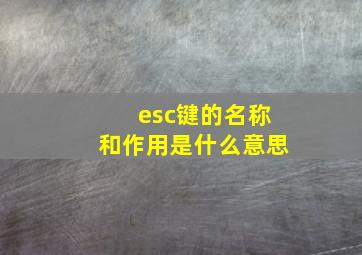 esc键的名称和作用是什么意思