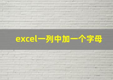 excel一列中加一个字母