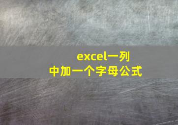 excel一列中加一个字母公式