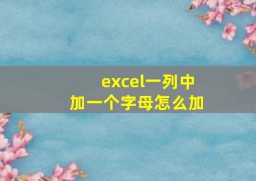 excel一列中加一个字母怎么加