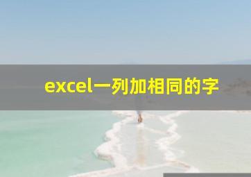 excel一列加相同的字