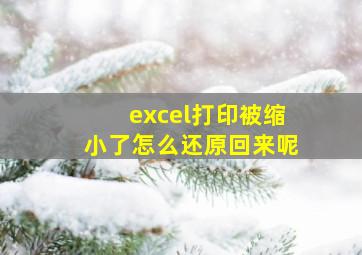 excel打印被缩小了怎么还原回来呢