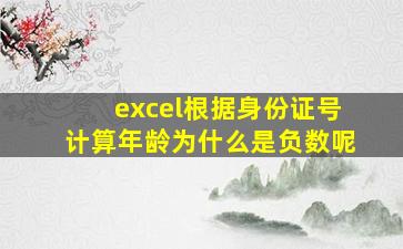 excel根据身份证号计算年龄为什么是负数呢