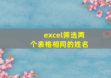 excel筛选两个表格相同的姓名