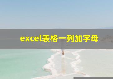 excel表格一列加字母