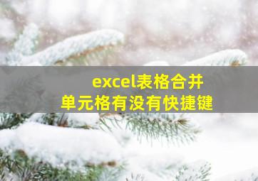 excel表格合并单元格有没有快捷键