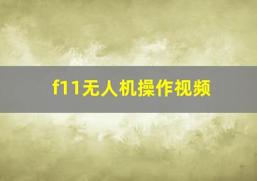 f11无人机操作视频