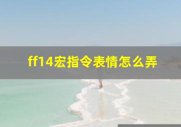 ff14宏指令表情怎么弄