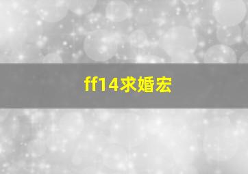 ff14求婚宏