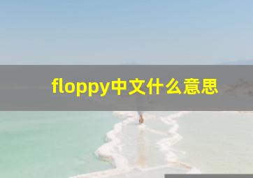 floppy中文什么意思