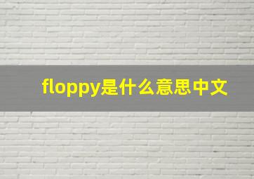 floppy是什么意思中文