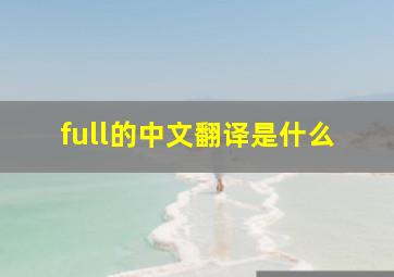 full的中文翻译是什么