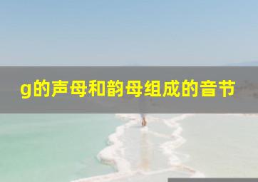 g的声母和韵母组成的音节