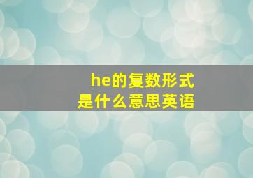 he的复数形式是什么意思英语