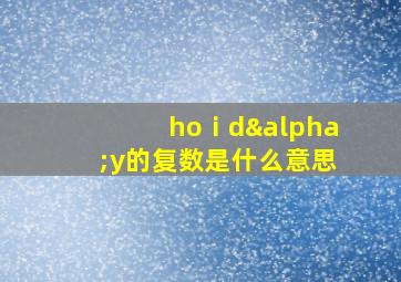 hoⅰdαy的复数是什么意思