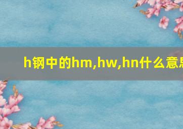 h钢中的hm,hw,hn什么意思