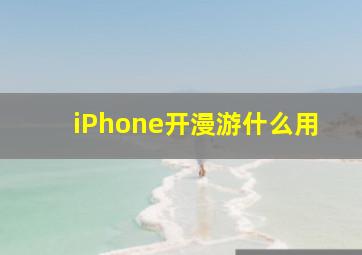 iPhone开漫游什么用