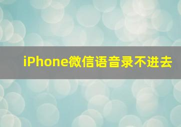 iPhone微信语音录不进去