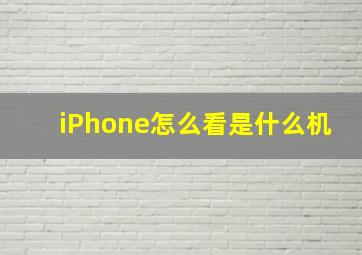 iPhone怎么看是什么机