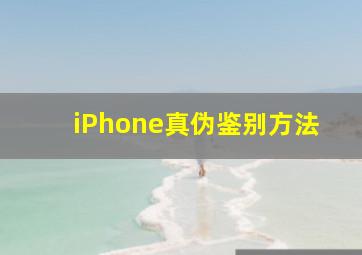 iPhone真伪鉴别方法