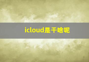 icloud是干啥呢