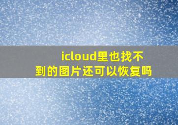 icloud里也找不到的图片还可以恢复吗