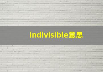 indivisible意思